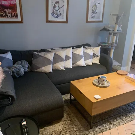 Pensjonat Wake Up With 2 Cats On Your Face Dublin