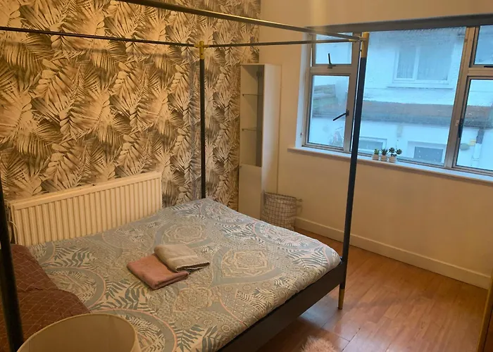 Wake Up With 2 Cats On Your Face