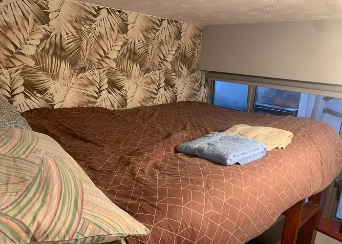 Pensjonat Wake Up With 2 Cats On Your Face *