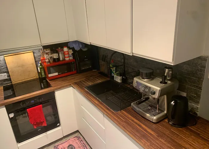 Pensjonat Wake Up With 2 Cats On Your Face Dublin