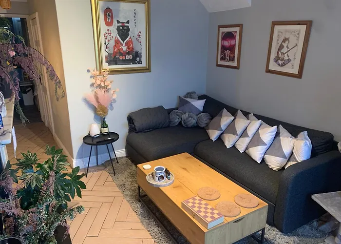 Wake Up With 2 Cats On Your Face Pensjonat