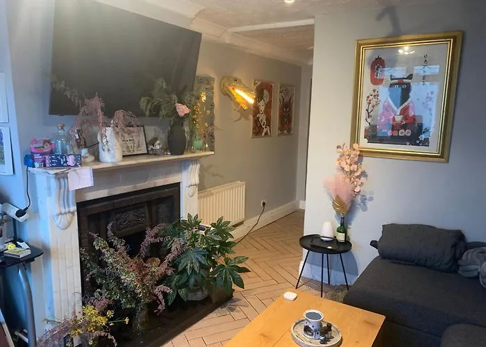 Wake Up With 2 Cats On Your Face * Dublin