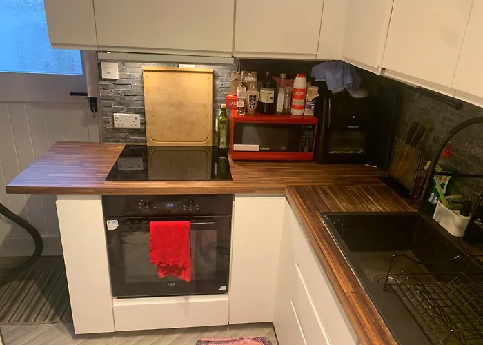 Wake Up With 2 Cats On Your Face Pensjonat