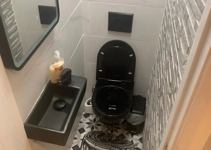 Wake Up With 2 Cats On Your Face Pensjonat Dublin