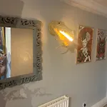 Penzion Wake Up With 2 Cats On Your Face *