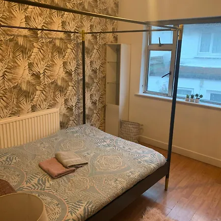 Wake Up With 2 Cats On Your Face