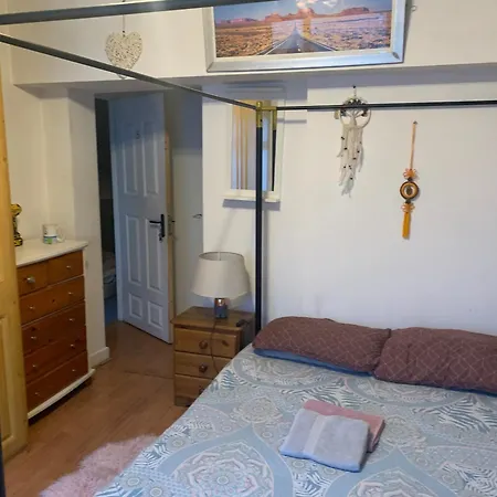 Wake Up With 2 Cats On Your Face Guest house Dublin