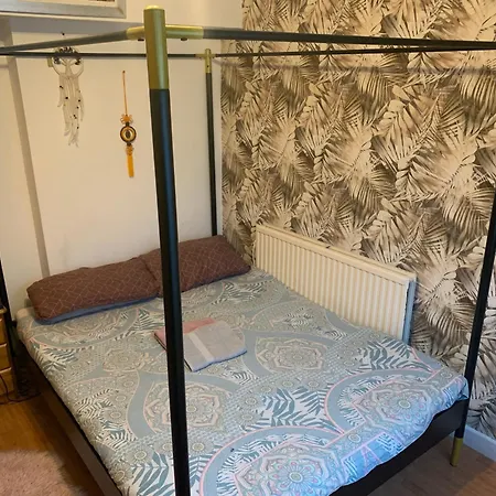 Wake Up With 2 Cats On Your Face Dublín