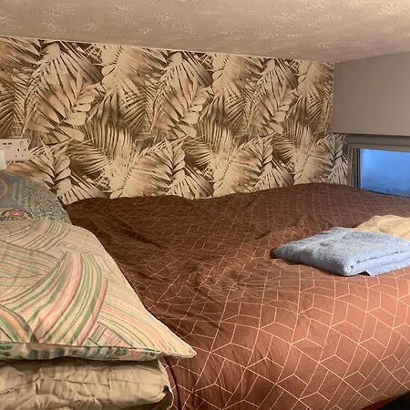 Wake Up With 2 Cats On Your Face Guest house