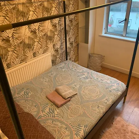 Wake Up With 2 Cats On Your Face Dublín