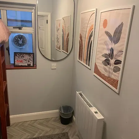 Wake Up With 2 Cats On Your Face