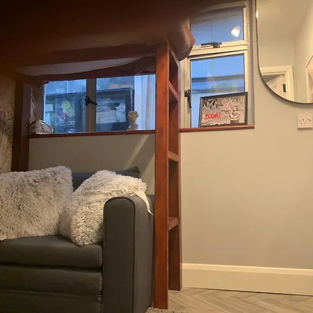 Wake Up With 2 Cats On Your Face