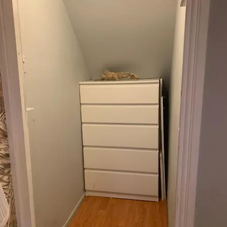 Wake Up With 2 Cats On Your Face * Дублин