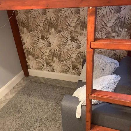 Wake Up With 2 Cats On Your Face Pensión Dublín