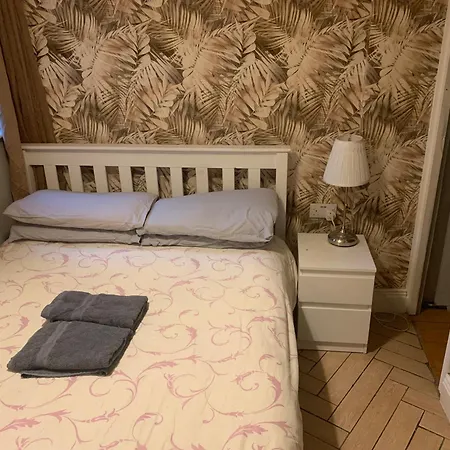 Wake Up With 2 Cats On Your Face * Dublín