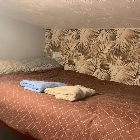 Guest house Wake Up With 2 Cats On Your Face