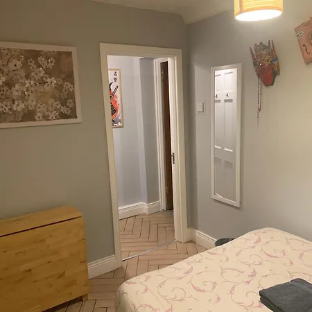 Wake Up With 2 Cats On Your Face Guest house Dublin