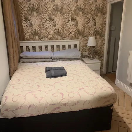 Wake Up With 2 Cats On Your Face *