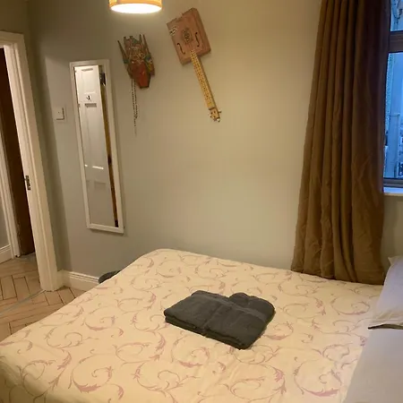 Wake Up With 2 Cats On Your Face * Dublín