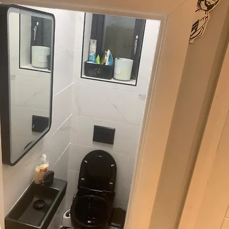 Wake Up With 2 Cats On Your Face * Дублин