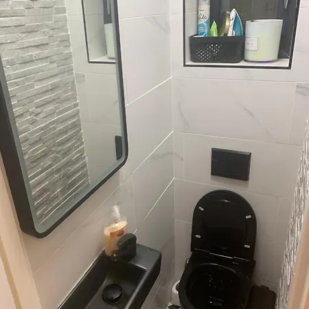 Pensión Wake Up With 2 Cats On Your Face *