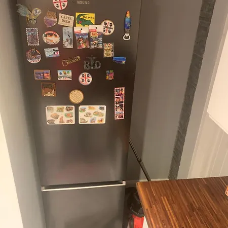 Wake Up With 2 Cats On Your Face Pensión *