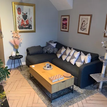 Pensión Wake Up With 2 Cats On Your Face *