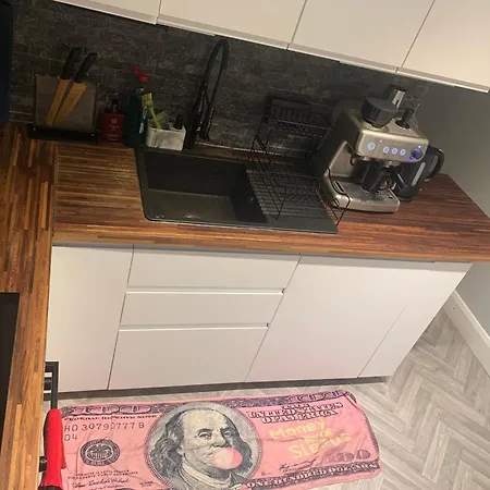 Wake Up With 2 Cats On Your Face Pensión Dublín