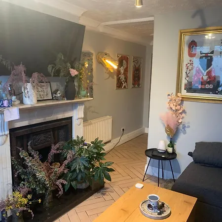 Wake Up With 2 Cats On Your Face * Дублин