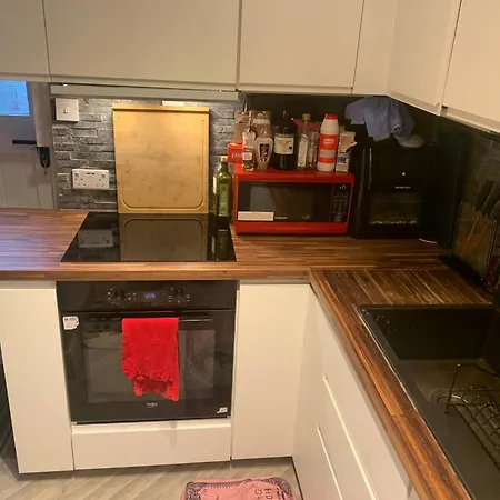 Wake Up With 2 Cats On Your Face Pensión