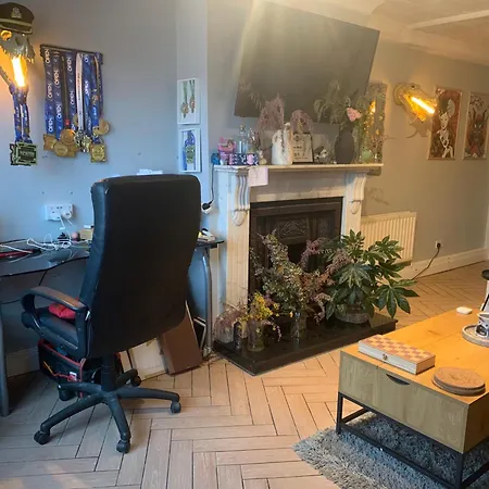 Wake Up With 2 Cats On Your Face Дублин