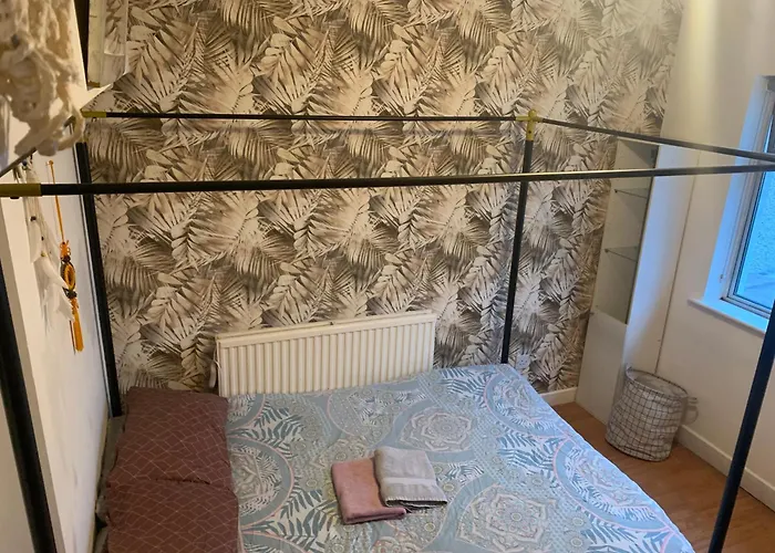 Penzion Wake Up With 2 Cats On Your Face *