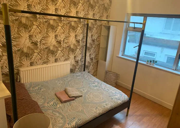 Penzion Wake Up With 2 Cats On Your Face Dublin