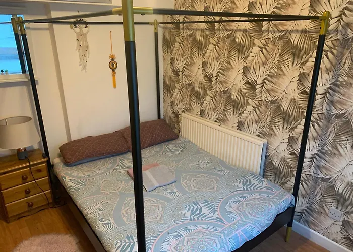 Wake Up With 2 Cats On Your Face Dublin