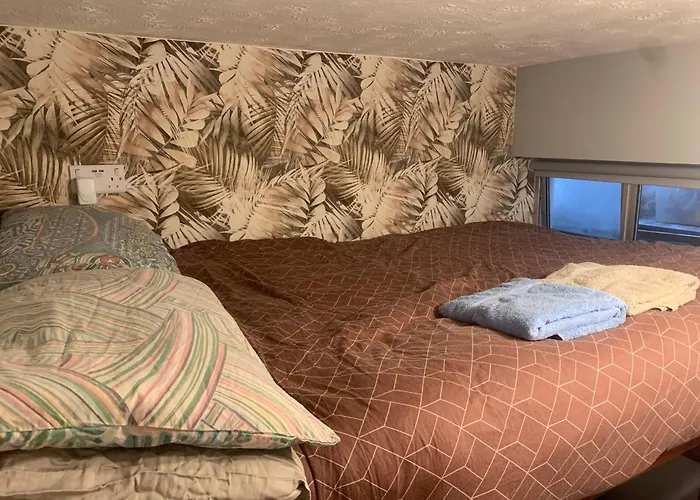 Wake Up With 2 Cats On Your Face Gæstehus