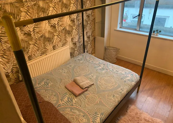 Wake Up With 2 Cats On Your Face ダブリン