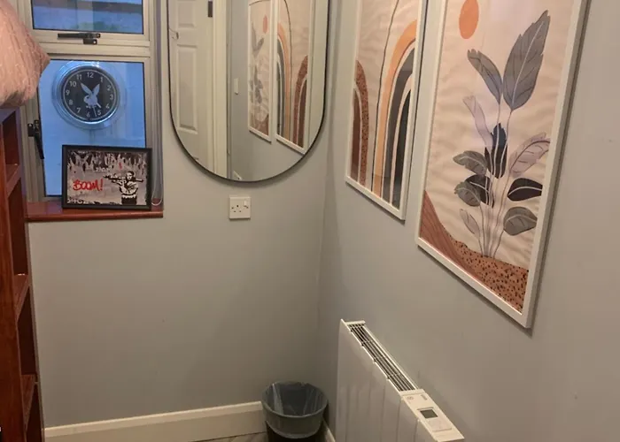 Wake Up With 2 Cats On Your Face