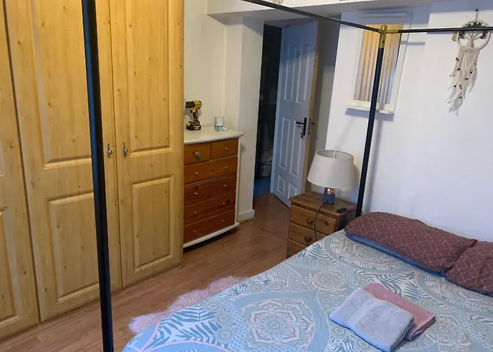 Wake Up With 2 Cats On Your Face Gæstehus *