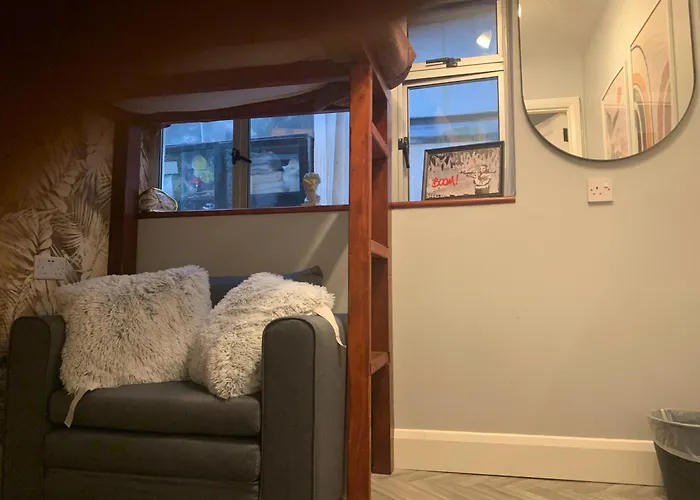 Wake Up With 2 Cats On Your Face