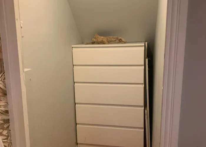 Wake Up With 2 Cats On Your Face * ダブリン