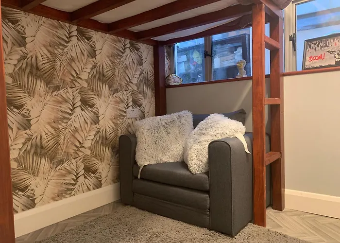 Wake Up With 2 Cats On Your Face Dublin