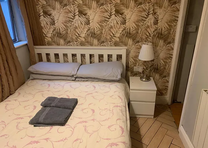 Wake Up With 2 Cats On Your Face * ダブリン