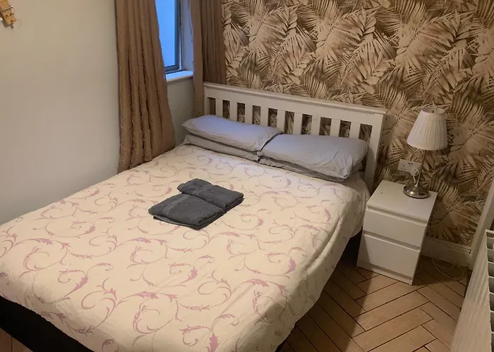 Wake Up With 2 Cats On Your Face