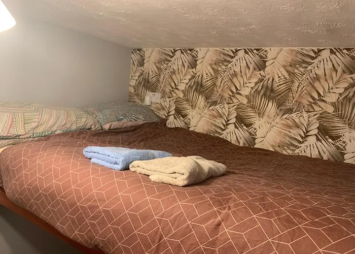 Penzion Wake Up With 2 Cats On Your Face