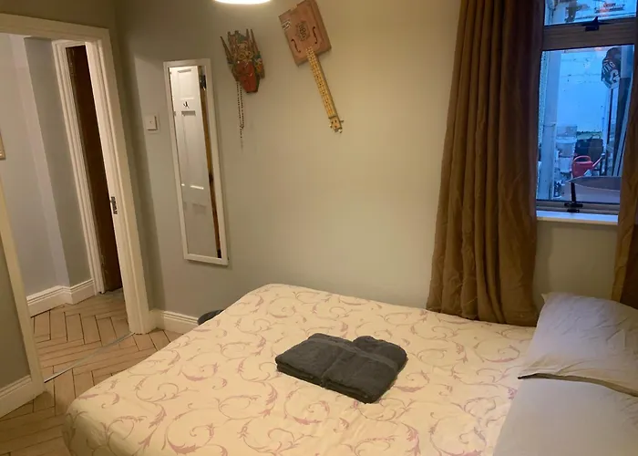 Wake Up With 2 Cats On Your Face * ダブリン