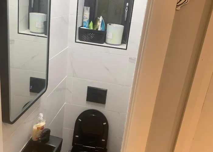 Wake Up With 2 Cats On Your Face * ダブリン