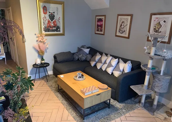 Gæstehus Wake Up With 2 Cats On Your Face *