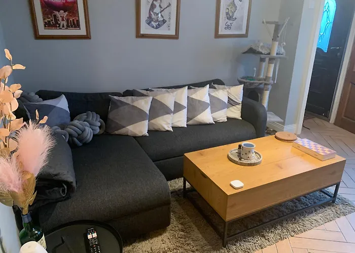 Penzion Wake Up With 2 Cats On Your Face Dublin