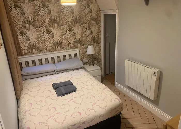 Wake Up With 2 Cats On Your Face