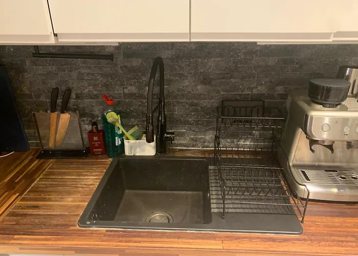 Wake Up With 2 Cats On Your Face * Dublin